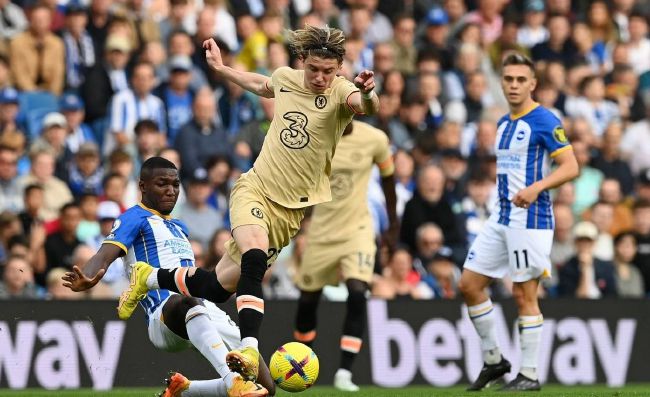 国内精品久久久久久久97牛牛