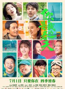 王视频vk